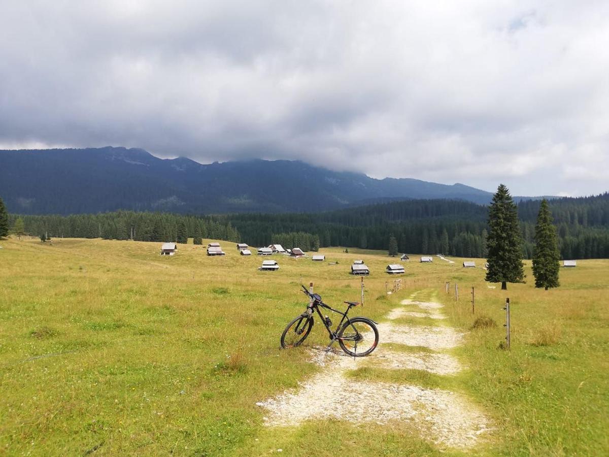 Apartma Pri Bregarju Bohinj Buitenkant foto