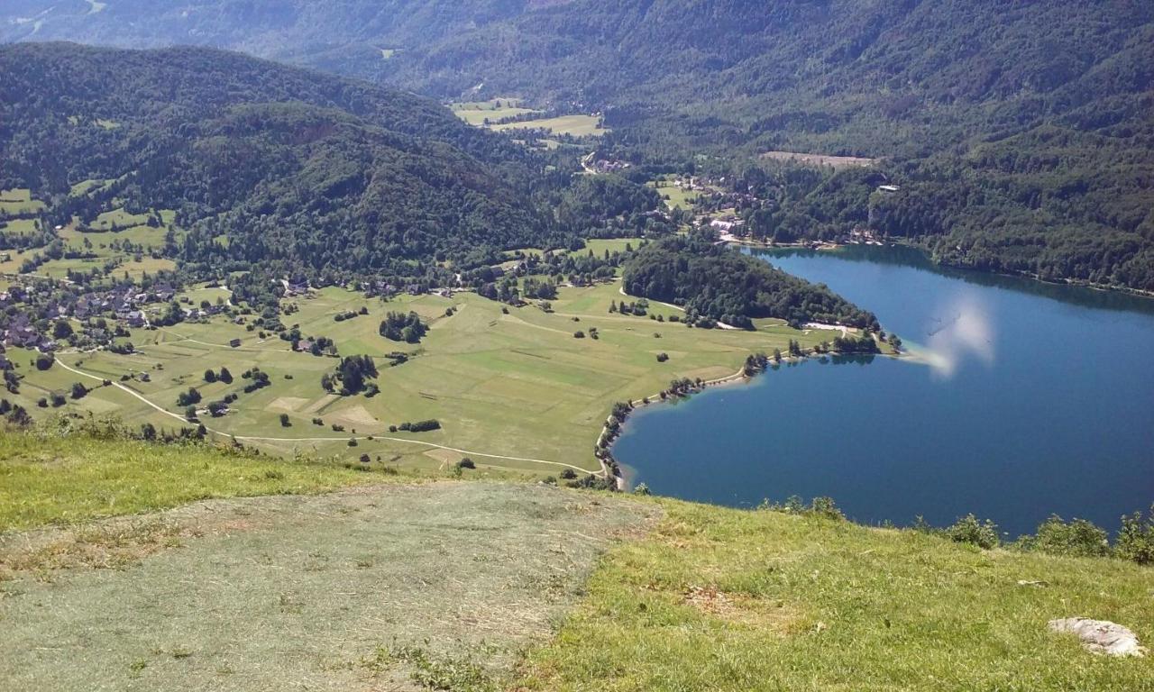 Apartma Pri Bregarju Bohinj Buitenkant foto