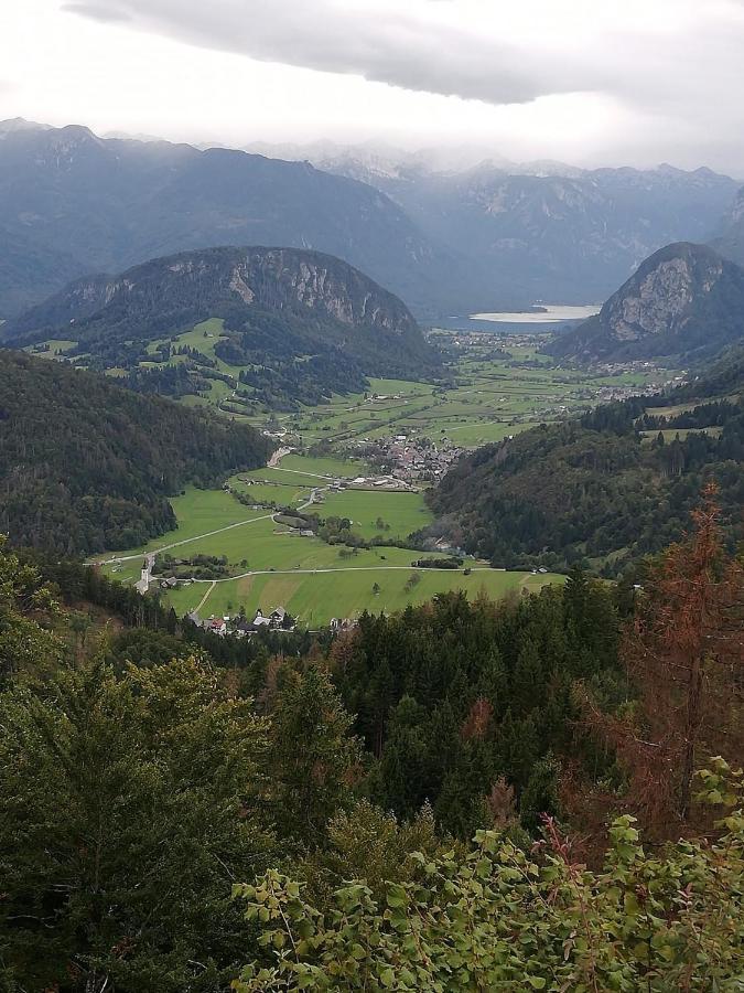 Apartma Pri Bregarju Bohinj Buitenkant foto