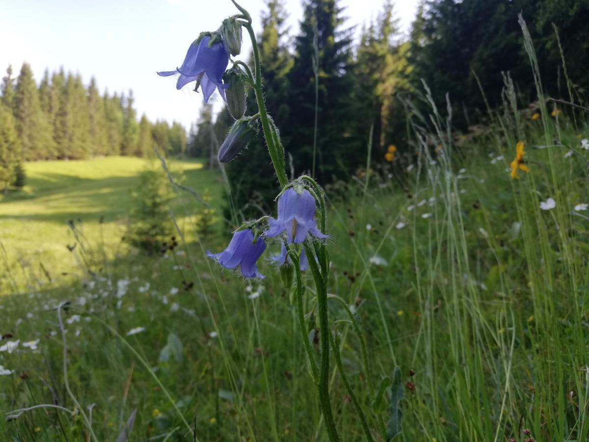 Apartma Pri Bregarju Bohinj Buitenkant foto