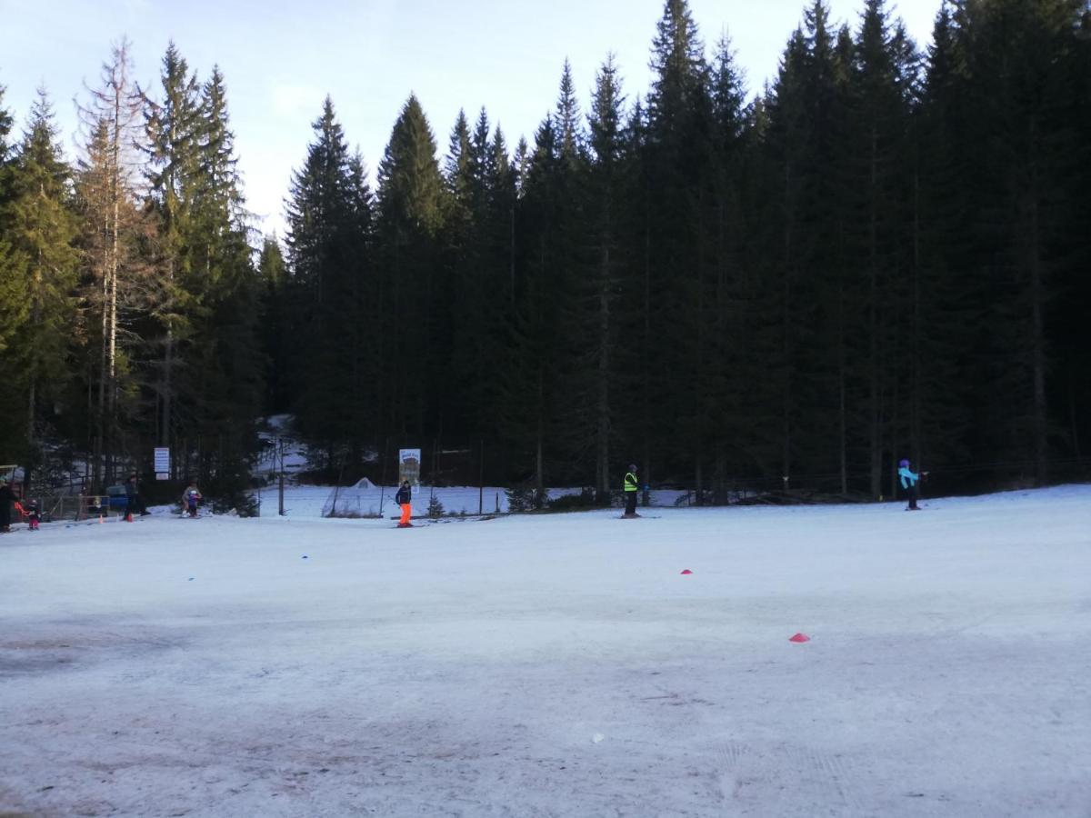 Apartma Pri Bregarju Bohinj Buitenkant foto
