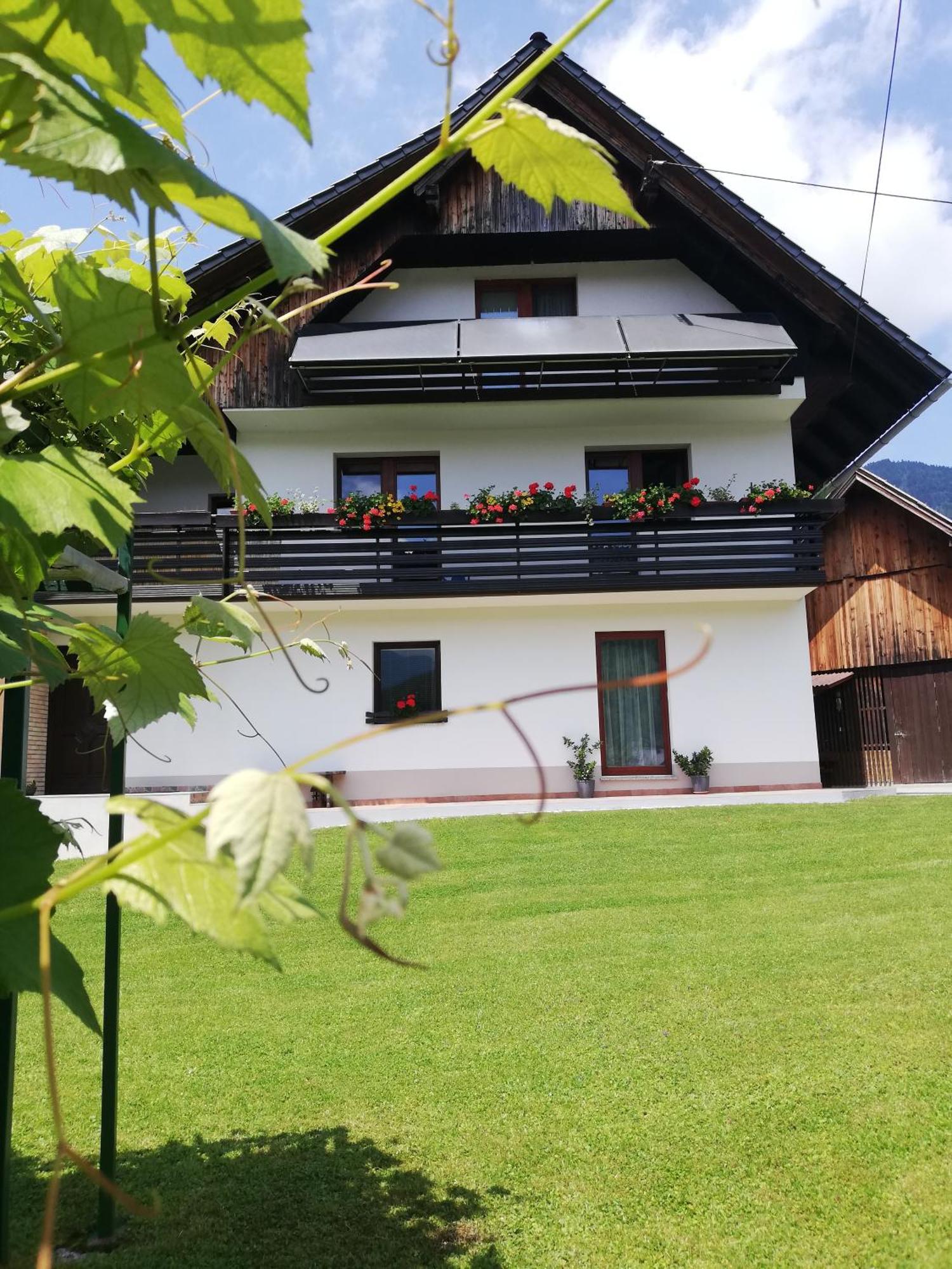 Apartma Pri Bregarju Bohinj Buitenkant foto