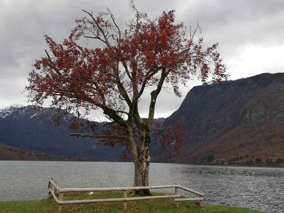 Apartma Pri Bregarju Bohinj Buitenkant foto