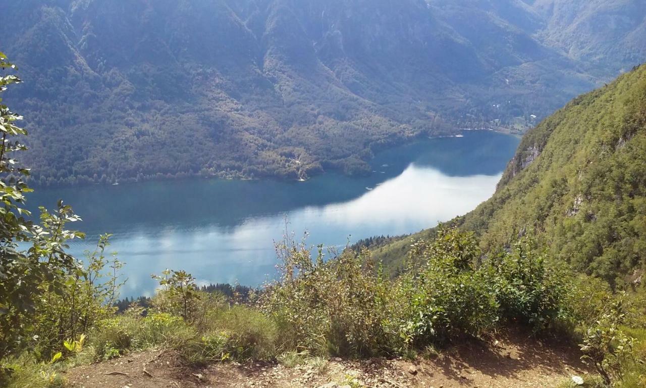 Apartma Pri Bregarju Bohinj Buitenkant foto