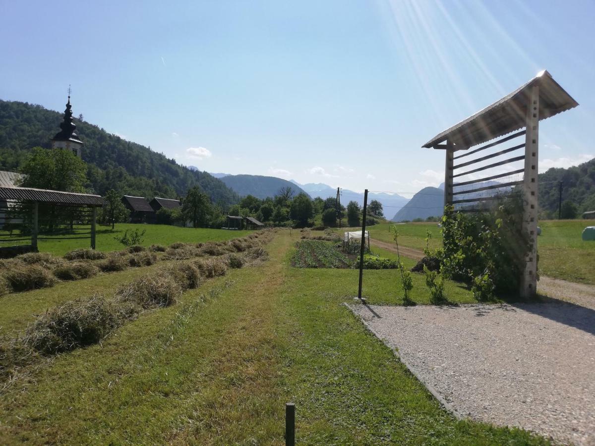 Apartma Pri Bregarju Bohinj Buitenkant foto