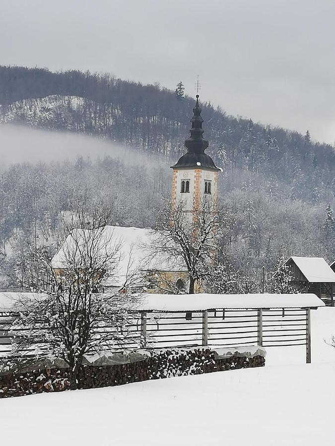 Apartma Pri Bregarju Bohinj Buitenkant foto