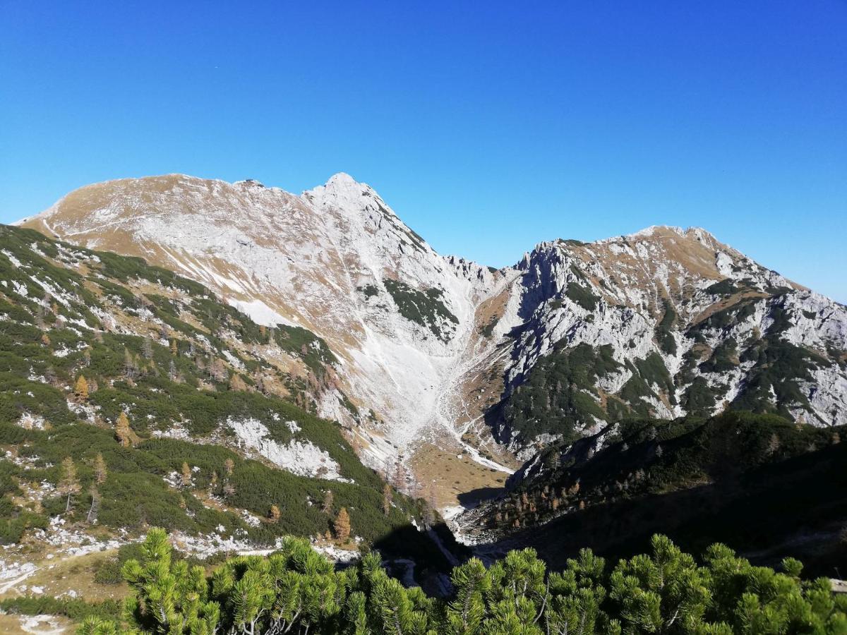 Apartma Pri Bregarju Bohinj Buitenkant foto